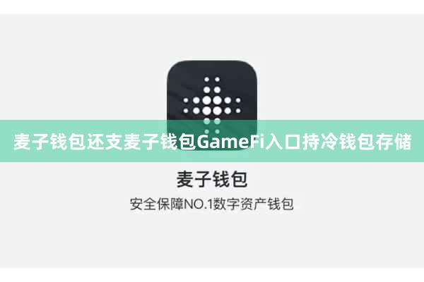 麦子钱包还支麦子钱包GameFi入口持冷钱包存储