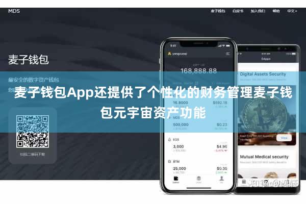 麦子钱包App还提供了个性化的财务管理麦子钱包元宇宙资产功能