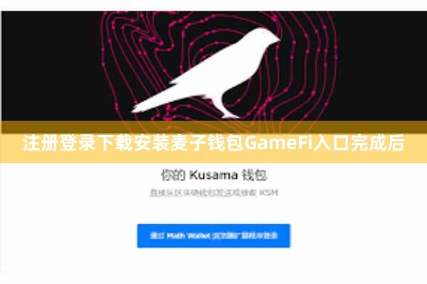 注册登录下载安装麦子钱包GameFi入口完成后