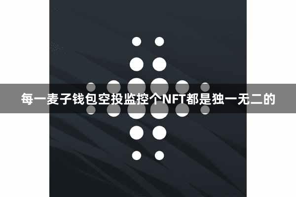 每一麦子钱包空投监控个NFT都是独一无二的