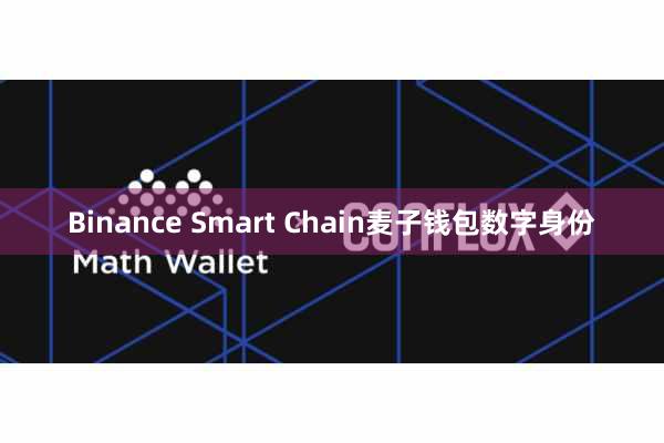 Binance Smart Chain麦子钱包数字身份