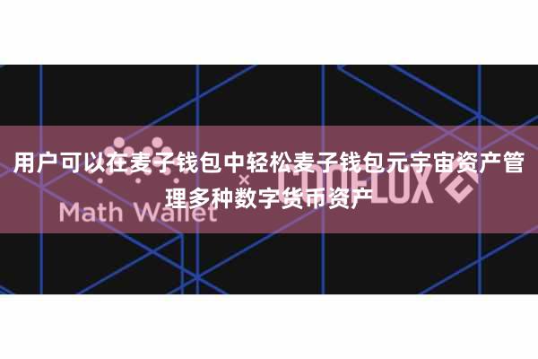 用户可以在麦子钱包中轻松麦子钱包元宇宙资产管理多种数字货币资产