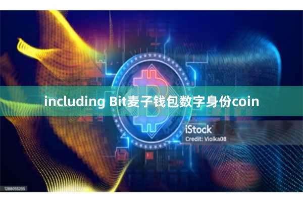including Bit麦子钱包数字身份coin