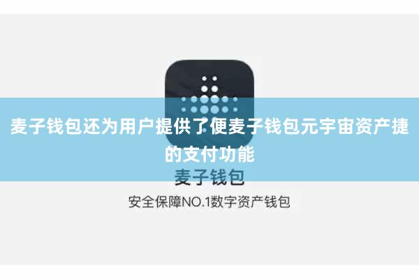 麦子钱包还为用户提供了便麦子钱包元宇宙资产捷的支付功能