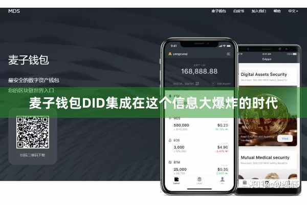 麦子钱包DID集成在这个信息大爆炸的时代