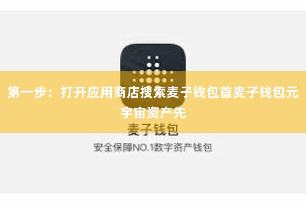 第一步：打开应用商店搜索麦子钱包首麦子钱包元宇宙资产先