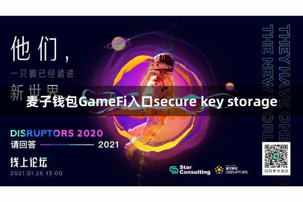 麦子钱包GameFi入口secure key storage