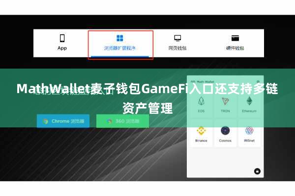 MathWallet麦子钱包GameFi入口还支持多链资产管理