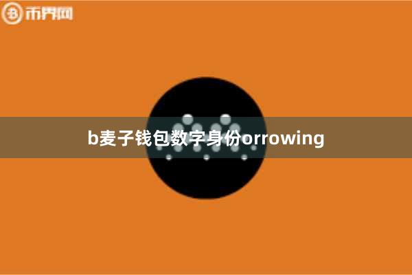 b麦子钱包数字身份orrowing