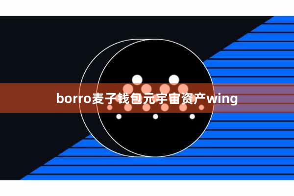 borro麦子钱包元宇宙资产wing