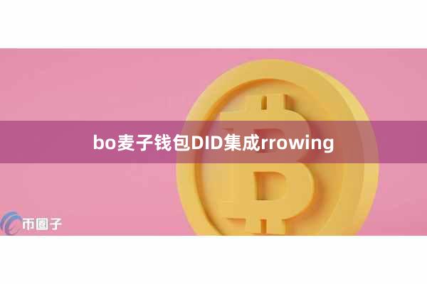 bo麦子钱包DID集成rrowing