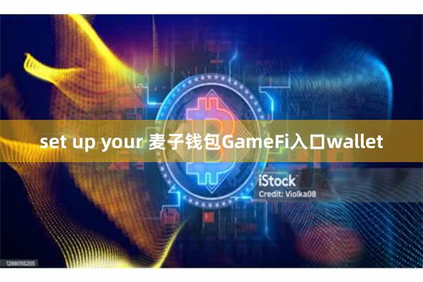 set up your 麦子钱包GameFi入口wallet