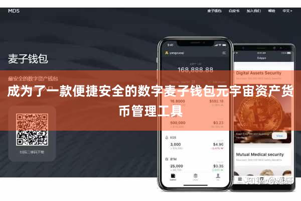 成为了一款便捷安全的数字麦子钱包元宇宙资产货币管理工具