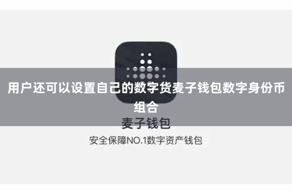 用户还可以设置自己的数字货麦子钱包数字身份币组合