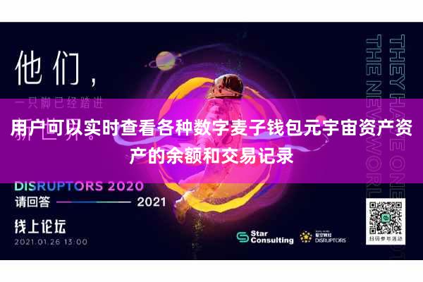 用户可以实时查看各种数字麦子钱包元宇宙资产资产的余额和交易记录