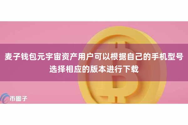 麦子钱包元宇宙资产用户可以根据自己的手机型号选择相应的版本进行下载