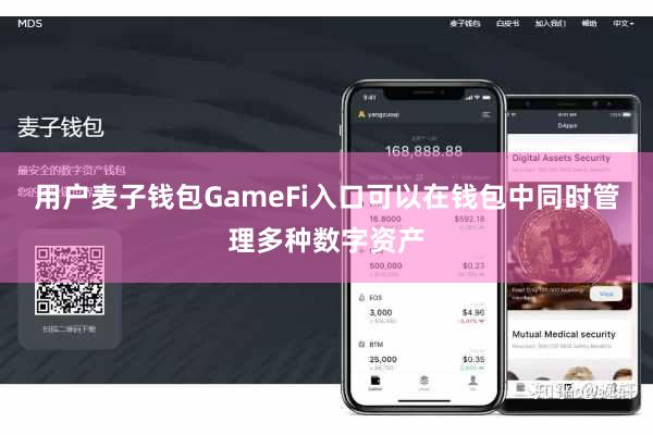 用户麦子钱包GameFi入口可以在钱包中同时管理多种数字资产