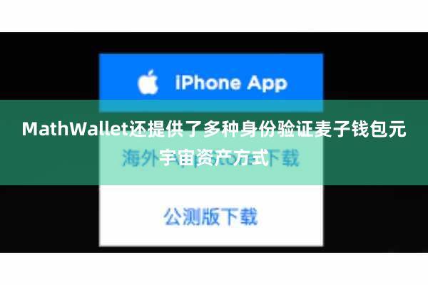 MathWallet还提供了多种身份验证麦子钱包元宇宙资产方式